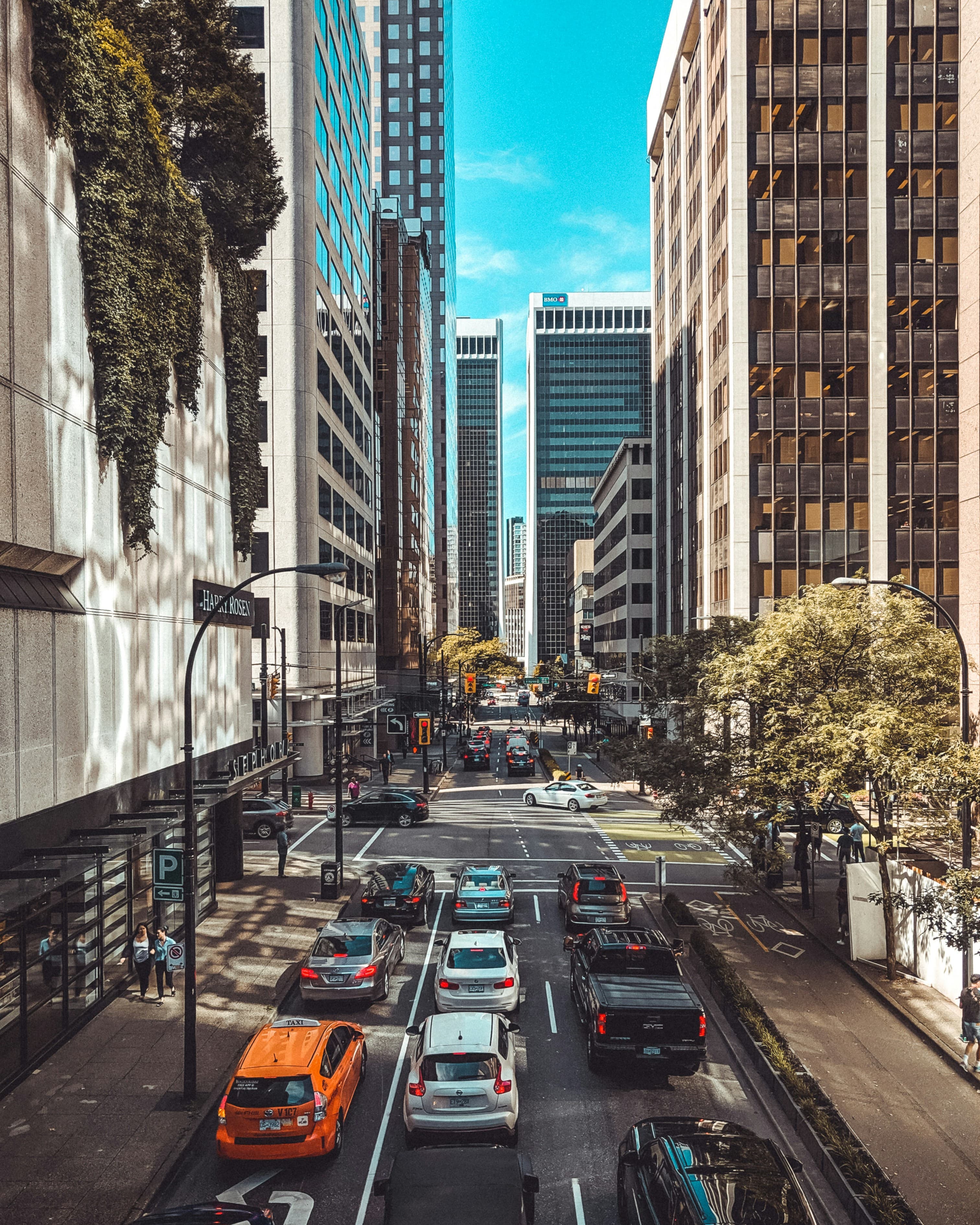 Insurance planning at Blue Pearl Financial